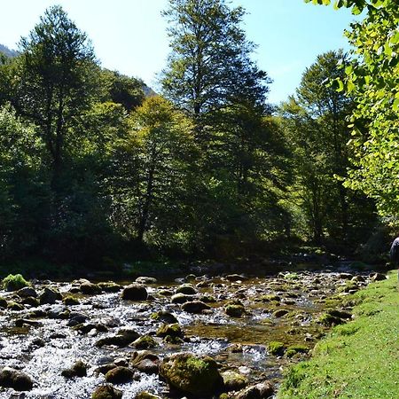 Gites Communaux A Lourdios Exterior foto