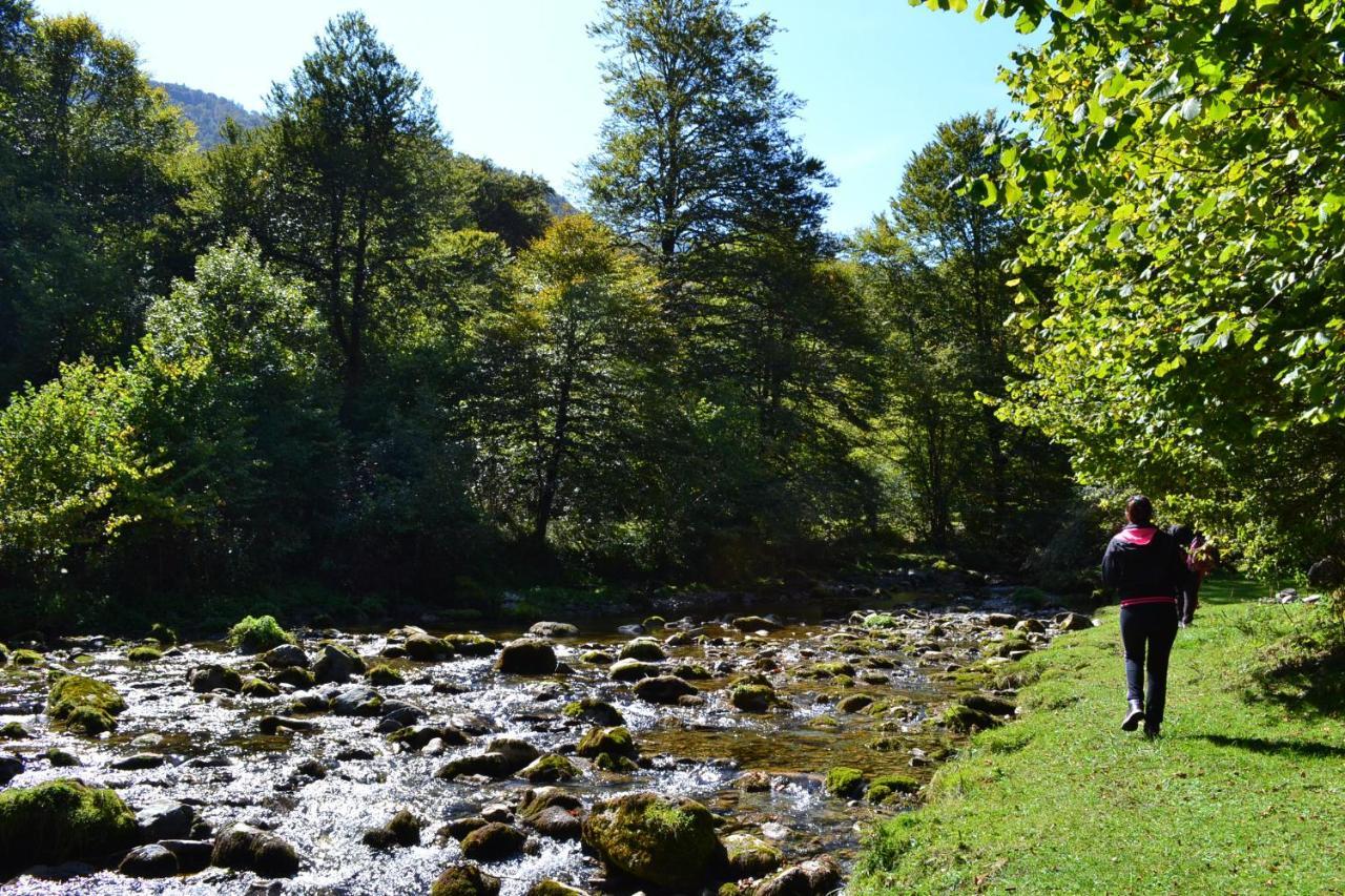 Gites Communaux A Lourdios Exterior foto